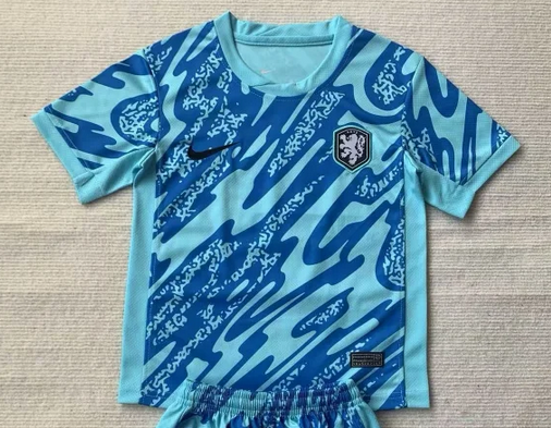 AAA Quality Netherlands 2024 GK Blue Soccer Jersey